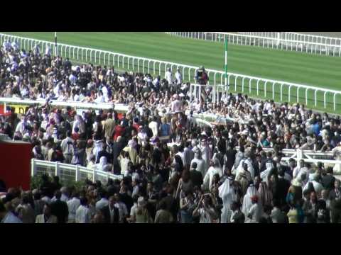 GALOPPSPELAREN - Dubai Sheema Classic 2010, Dar Re Mi and William Buick, Meydan Racecourse no4