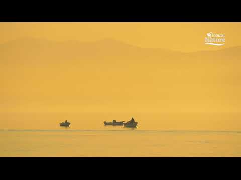 Speranța ambiental - piano instrumental music