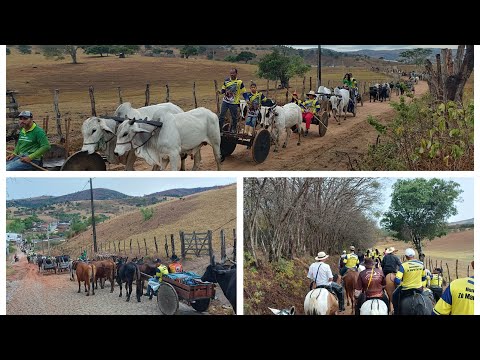 Segunda carreata de carro de boi em homenagem a Zé Maria carreiro Palmeirinha PE 
