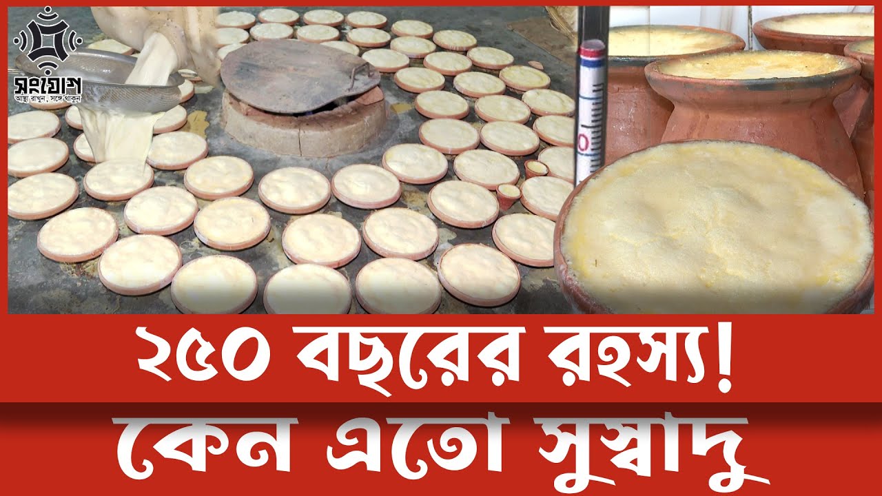 ২৫০ বছরেও অপরিবর্তিত স্বাদ! কেন এত বিখ্যাত বগুড়ার দই