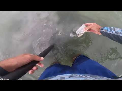 08 28 2022 Ponce Inlet FL Metal Detecting