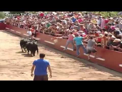 BULLS & BATHS at 1st FESTA BRAVA