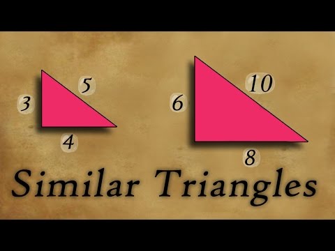 What are Similar Triangles | Geometry | Math | Letstute