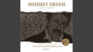 Ağlayamam (Ahmet Selçuk İlkan Unutulmayan Şarkılar, Vol. 2)