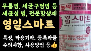영일스마트입상수화제???? 발리다마이신에이???? 세균성 병 전문항생제 ???? 특성, 작용기작, 주의사항,…