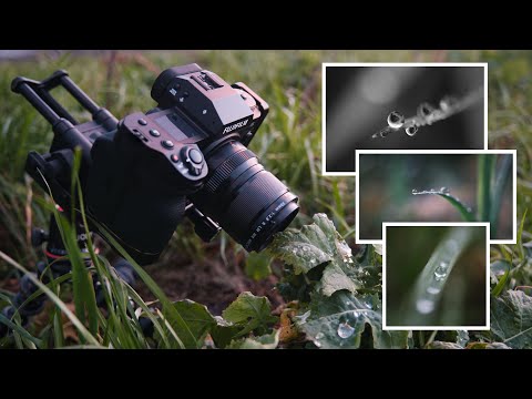 6 Tipps für beeindruckende Tropfen Fotos!