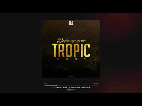 DJ ZERFLY - Wake Up Your Tropic Mood Vol.6