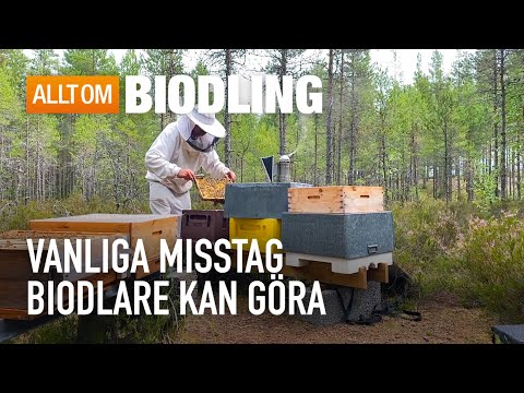 Nybörjarmisstag biodlare kan göra | Biodling