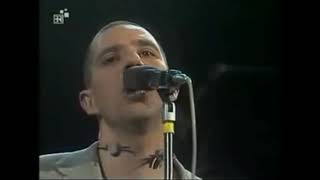 Trio Lizard - Sunday You Need Love (Live)