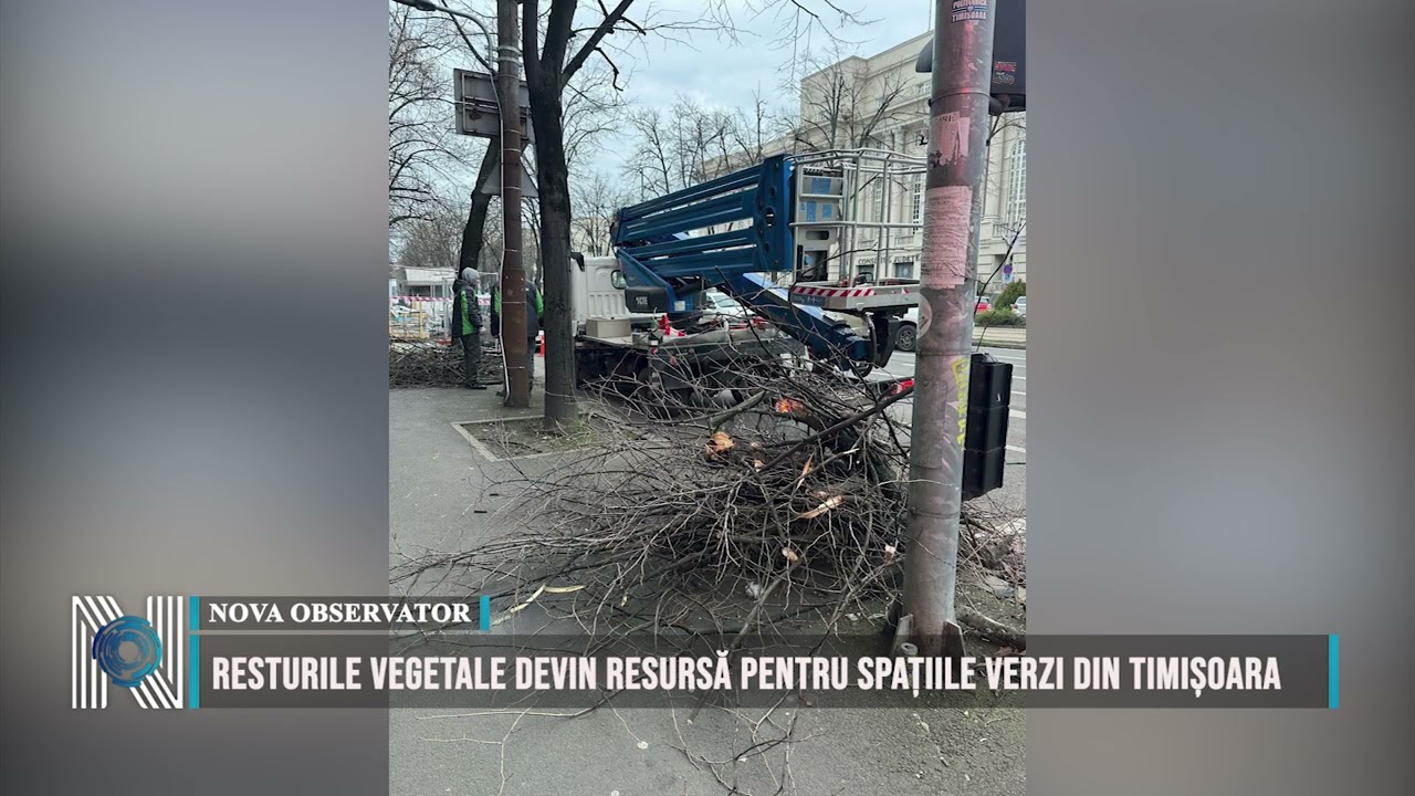 Resturile vegetale devin resursă pentru spațiile verzi din Timișoara