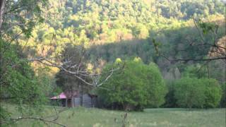 Andy Griffith   White Lightning