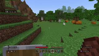 ダイア探しのMinecraft！