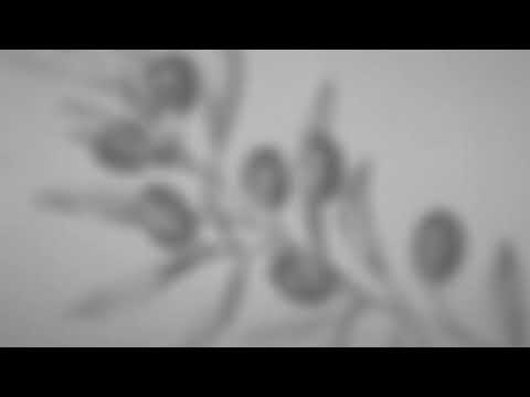 Andrea Vanzo and 2 more