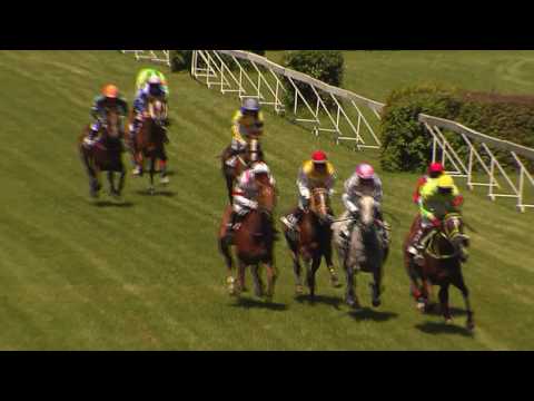 TOP 11.06.2017 - Dostihy 2 - Cena obce Machulince