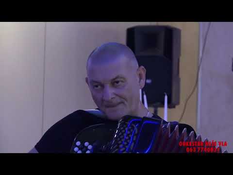 Orkestar Neše Vla - Kraj potoka Harmoniko moja Oreovačka šetnja