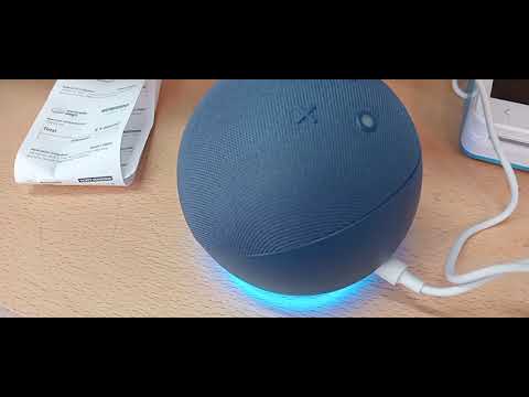 ALEXA SE TIRA UN PEDO YO SE LO PEDI SOMOS BUENOS AMIGOS