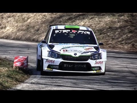 34° Rally Bellunese 2019 - Highlights [HD]