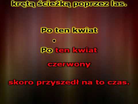 Po ten kwiat czerwony