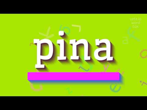 How to say "pina"! (High Quality Voices)