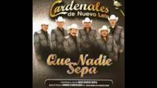 PA&#39; QUE NOS DEJAN SOLOS    LOS CARDENALES DE NUEVO LEON