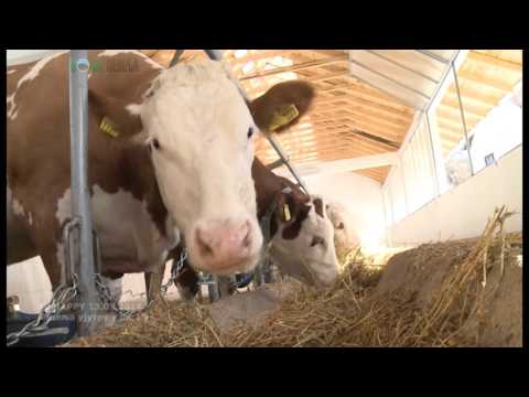 Nova stala na jugu Srbije zasto su vazni svetlarnici