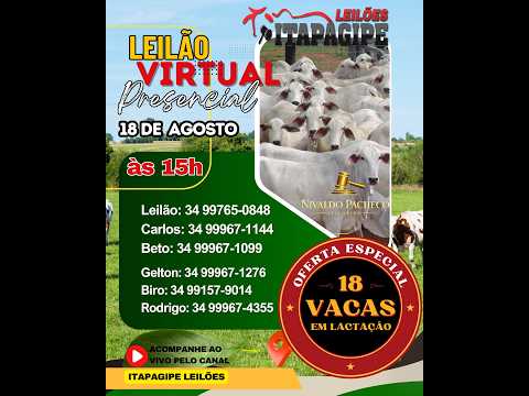 LEILÃO VIRTUAL  - ITAPAGIPE LEILÕES  18/08/2026- ITAPAGIPE-MG.