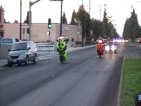 HOGG NUTZ N 220 MC WHEELING