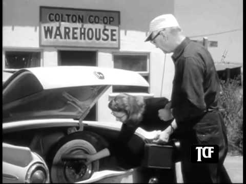 Highway Patrol 37in Efficiency Secretary