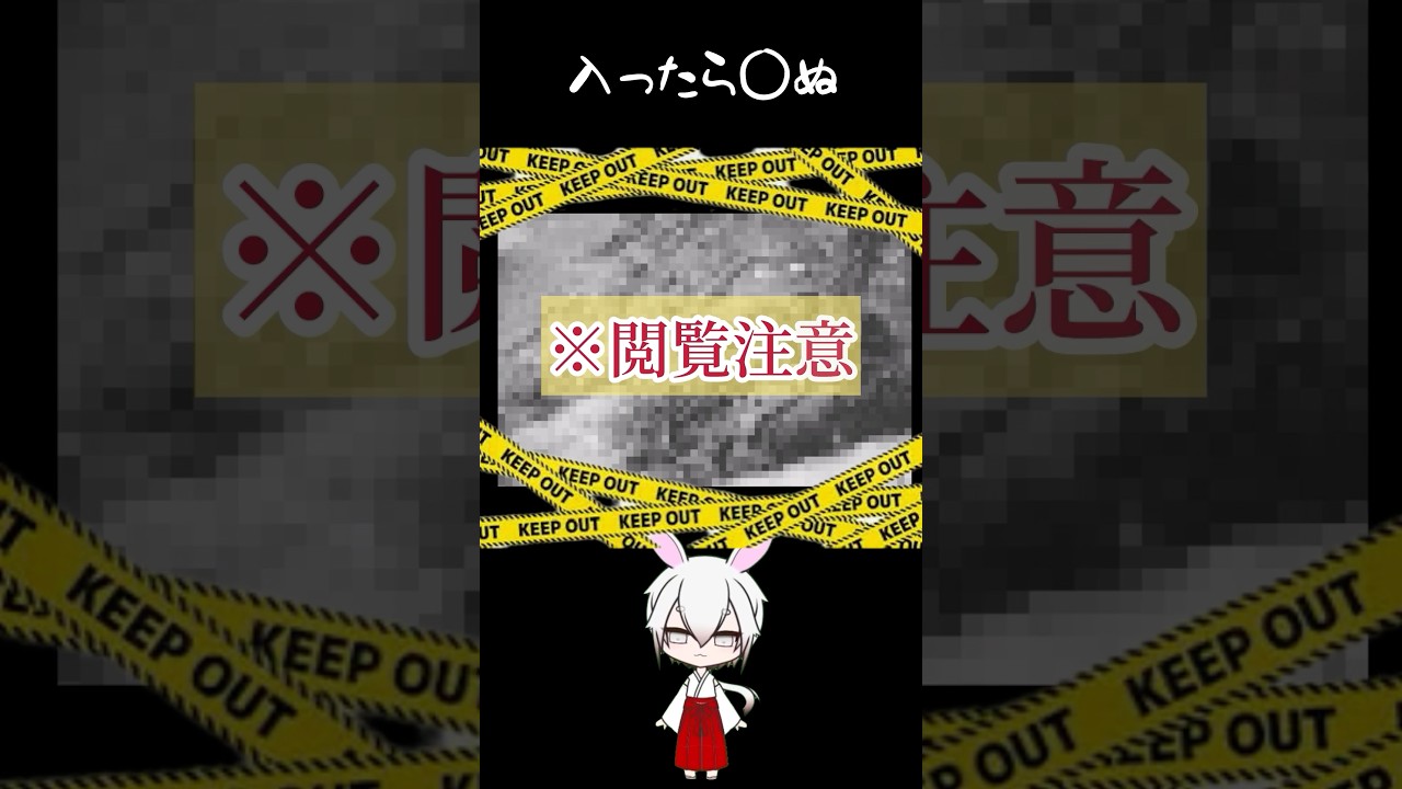 【都市伝説】入っただけで◯◯？毒蛇だらけの島がやば過ぎた #ミステリー