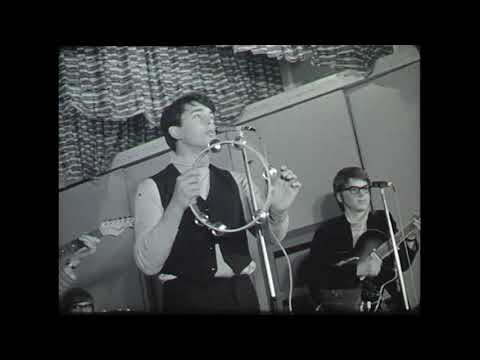 50 JAAR - Daniël Lohues (beelden Erica 1966)