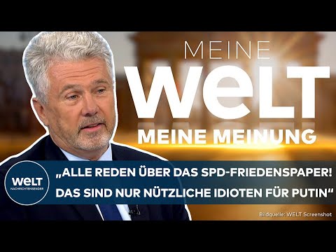 Video Thumbnail: SPD-"FRIEDENSMANIFEST": "Warum bekommen die so viel Aufmerksamkeit?" Erik Kirschbaum | MEINUNG