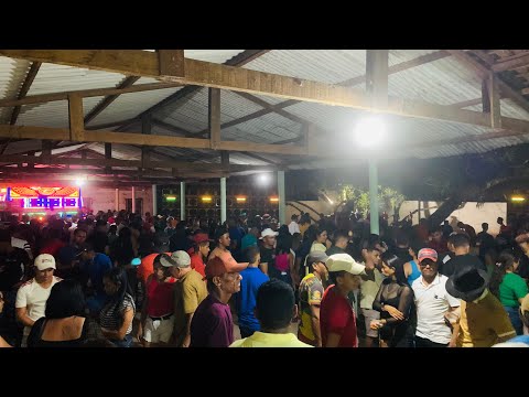 Aguia de Ouro  Em Marajá - Gov Newton BELLO