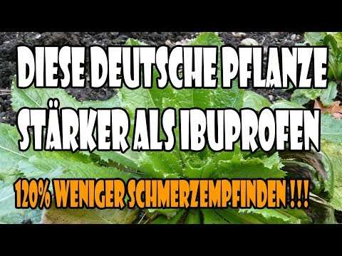 Subluxation des Schultergelenks Behandlung zu Hause Hip Krebs Grad 4