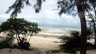 preview picture of video 'Tanzania. Zanzibar Island / Осень 2011. Танзания. остров Занзибар'