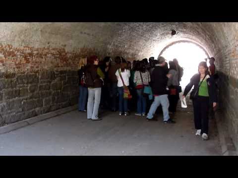 Moving acapella performance in random Central Park tunnel