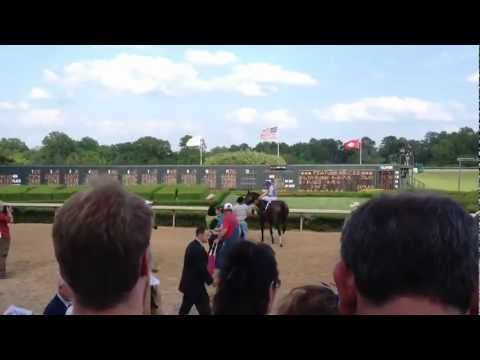 Alternation After Winning 2012 Oaklawn Handicap G2 at Oaklawn Park