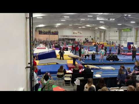 02-07-2020 Dragon Invitational - Emily Joyce Vault