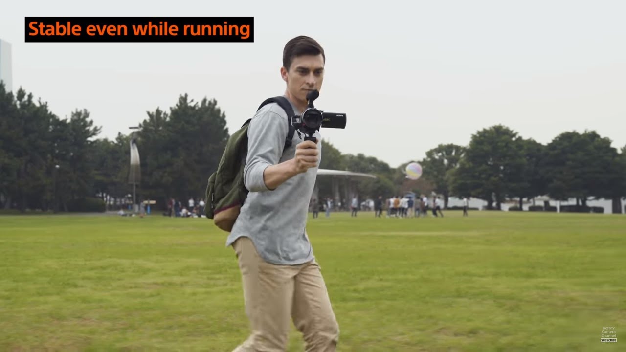 Sony Handycam FDR-AX43A