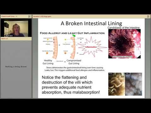 The RIse of the Bad Bugs