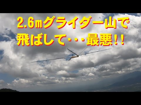 ラジコングライダー - 定義