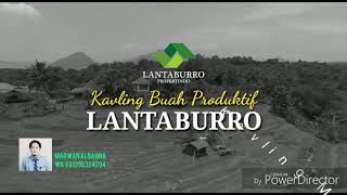 preview picture of video 'Kavling Buah Lantaburro Murah dan Free Pohon Durian'