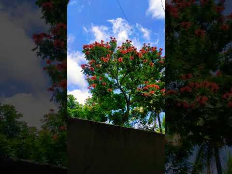 #vlog #neel #diganta #viralshortsvideo ##viralvideo #fewminuteswithme