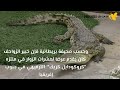 لحظات مرعبة.. تمساح يقبض بفكيه على خبير زواحف (فيديو)