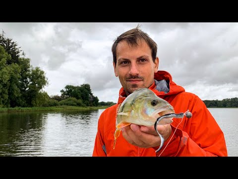 BISS auf BISS- Wir angeln am See auf BARSCH| Streetstyle Fishing