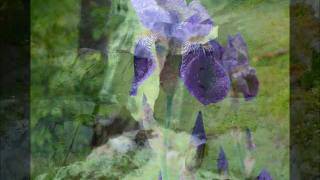 You Can Sleep While I Drive, Melissa Ethridge/Trisha Yearwood, cover by Crista