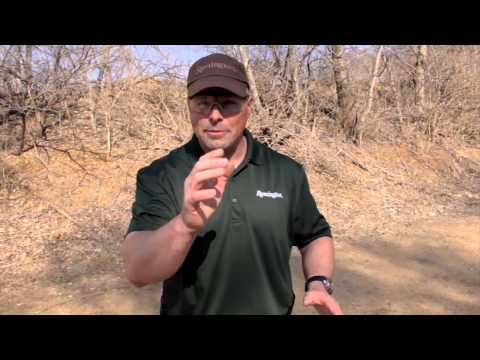 Gallery of Guns TV 2014 Shooting Tip: Target Transitions with Travis Tomasie