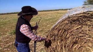 OSU Extension: how to pull a hay sample for forage testing