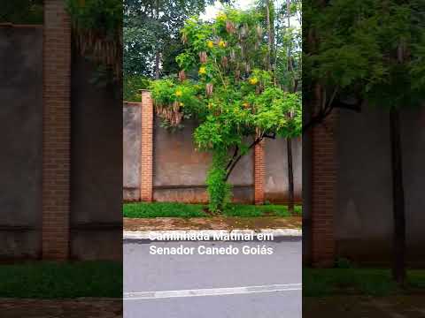 Caminhada Matinal em Senador Canedo Goiás