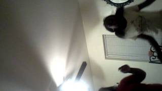 Bacon and eggs pricilla renea