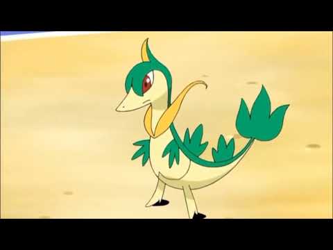 Snivy, Servine, and Serperior Pokédex Entries..wmv